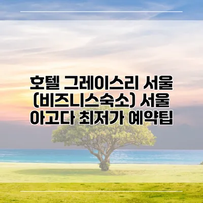 호텔 그레이스리 서울 (비즈니스숙소) 서울 아고다 최저가 예약팁