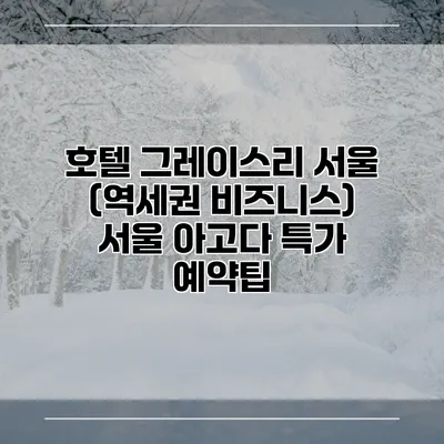 호텔 그레이스리 서울 (역세권 비즈니스) 서울 아고다 특가 예약팁