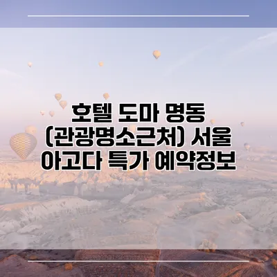 호텔 도마 명동 (관광명소근처) 서울 아고다 특가 예약정보