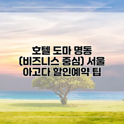 호텔 도마 명동 (비즈니스 중심) 서울 아고다 할인예약 팁