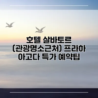 호텔 살바토르 (관광명소근처) 프라하 아고다 특가 예약팁