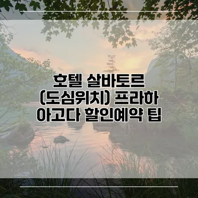 호텔 살바토르 (도심위치) 프라하 아고다 할인예약 팁