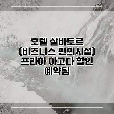 호텔 살바토르 (비즈니스 편의시설) 프라하 아고다 할인 예약팁