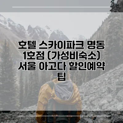 호텔 스카이파크 명동 1호점 (가성비숙소) 서울 아고다 할인예약 팁