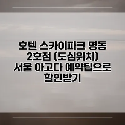 호텔 스카이파크 명동 2호점 (도심위치) 서울 아고다 예약팁으로 할인받기