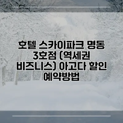 호텔 스카이파크 명동 3호점 (역세권 비즈니스) 아고다 할인 예약방법
