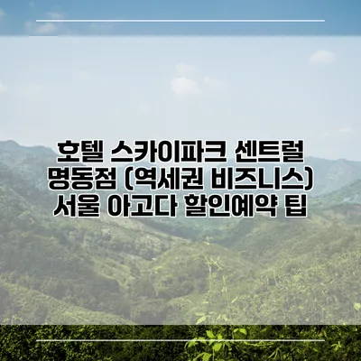 호텔 스카이파크 센트럴 명동점 (역세권 비즈니스) 서울 아고다 할인예약 팁