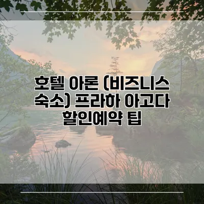 호텔 아론 (비즈니스 숙소) 프라하 아고다 할인예약 팁