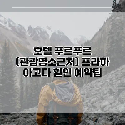 호텔 푸르푸르 (관광명소근처) 프라하 아고다 할인 예약팁