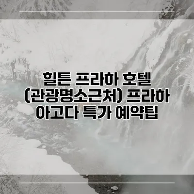 힐튼 프라하 호텔 (관광명소근처) 프라하 아고다 특가 예약팁