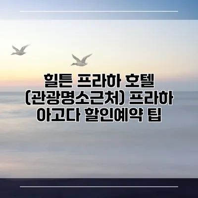 힐튼 프라하 호텔 (관광명소근처) 프라하 아고다 할인예약 팁