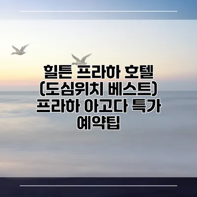힐튼 프라하 호텔 (도심위치 베스트) 프라하 아고다 특가 예약팁