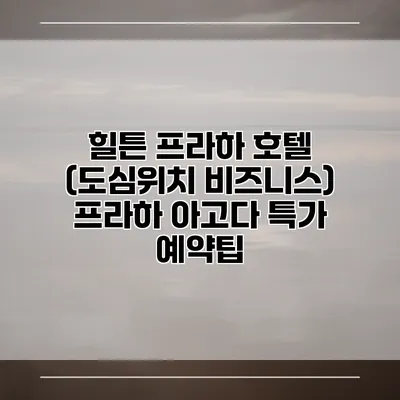 힐튼 프라하 호텔 (도심위치 비즈니스) 프라하 아고다 특가 예약팁