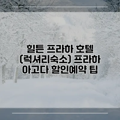 힐튼 프라하 호텔 (럭셔리숙소) 프라하 아고다 할인예약 팁