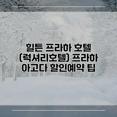 힐튼 프라하 호텔 (럭셔리호텔) 프라하 아고다 할인예약 팁