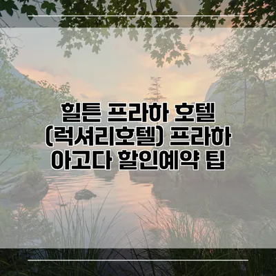 힐튼 프라하 호텔 (럭셔리호텔) 프라하 아고다 할인예약 팁
