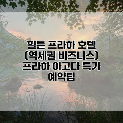 힐튼 프라하 호텔 (역세권 비즈니스) 프라하 아고다 특가 예약팁