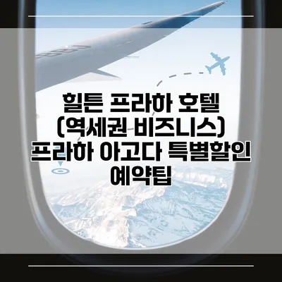 힐튼 프라하 호텔 (역세권 비즈니스) 프라하 아고다 특별할인 예약팁