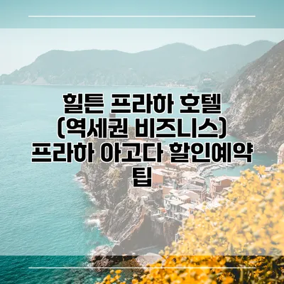 힐튼 프라하 호텔 (역세권 비즈니스) 프라하 아고다 할인예약 팁